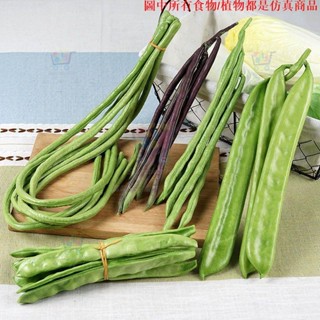 ✨模擬模型 模擬蔬菜模型PU長豆角四季豆食物食品道具餐廳展廳擺件拍攝道具模擬食物 模擬模型 模擬