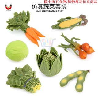 ✨模擬模型 模擬蔬菜迷你模型套裝 胡蘿卜菠菜毛豆 兒童認知幼兒早教啟蒙教具模擬食物 模擬模型 模擬