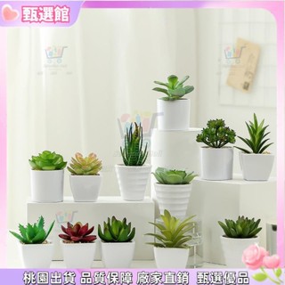✨仿真植物 模擬盆栽多肉植物仿真植物仙人掌模擬擺件辦公桌面裝飾書桌擺件仿真花盆栽模擬