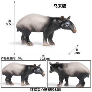 🥂模擬動物🥂模擬野生動物模型實心馬來貘亞洲貘印度貘兒童玩具塑膠擺件手辦