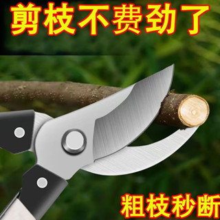 🔥臺灣出貨🔥國園剪刀 園林花剪修枝剪修剪草坪修剪樹枝草坪剪強力綠籬剪 多功能伸縮園藝剪刀 綠籬剪 籬笆剪 園林花剪
