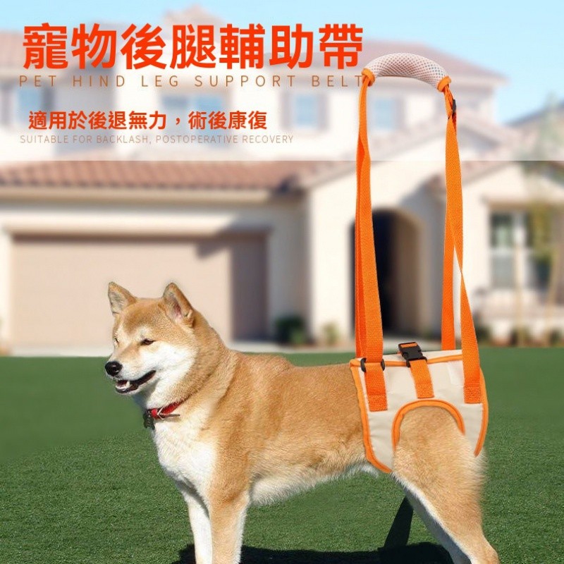 🥇老齡犬輔助帶 寵物輔助帶 狗狗輔助帶 老狗輔助帶 新款高齡犬輔助服 寵物狗狗後腿輔助帶 肢殘疾癱瘓行走神器手提牽引繩