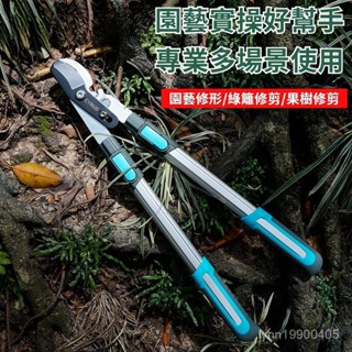 園藝剪 修枝剪 果樹剪 園藝綠化草坪修枝剪 果樹修枝專用樹枝剪 賽樂斯園藝剪刀修枝剪伸縮長柄強力粗枝剪園林剪樹枝剪刀手動