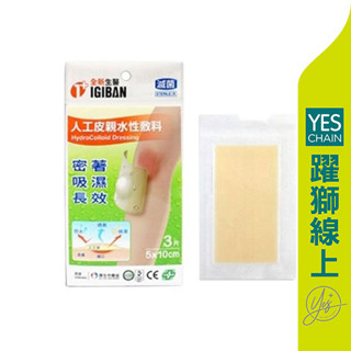全新 親水性膚料(滅菌) 人工皮5x10cm 3入【躍獅線上】