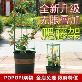 免運 花架子室內傢用支架通用型蟹爪蘭花架蓮花護葉架園藝盆栽支撐桿AS QQWM