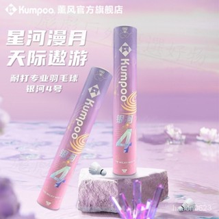 🔥新品促銷🔥燻風羽毛球 銀河4號 耐打不易爛 比賽運動專用 防風訓練球羽毛球 12衹