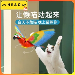 【限時下殺！ 精品優選】掛門貓玩具 寵物玩具 貓咪玩具 電動貓玩具 逗貓玩具 模擬吊繩老鷹鸚鵡自發聲拉線小鳥 懸掛156