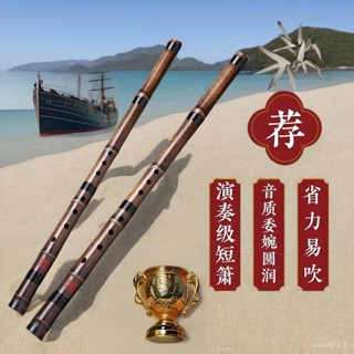 臺灣熱賣🔥零基礎入門洞簫便攜苦竹高階短蕭/迷你小笛子古風六F調初學蕭樂器 笛子 洞簫 古風笛子 古風樂器 竹笛子 洞蕭
