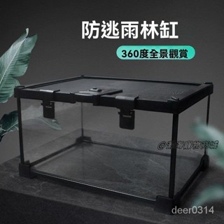 瀚海寵物🌈 玻璃飼養箱爬蟲缸雨林爬寵陸龜守宮蜥蜴角蛙蜘蛛甲蟲寵物蛇生態缸