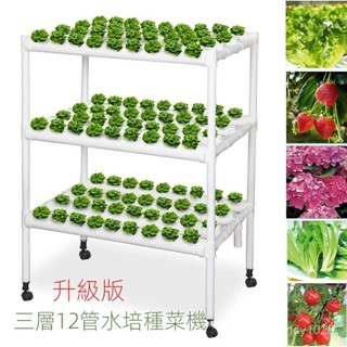 公司貨 可開統編 免運 陽臺無土栽培蔬菜裝置 水培植物 水耕 水耕植物 水耕盆栽 種植箱 種菜架 種菜機 種菜箱 水培盆