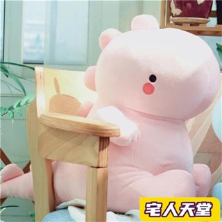 宅人天堂 恐龍玩偶公仔女生毛絨少女心布娃娃女孩可愛抱枕大號生日禮物