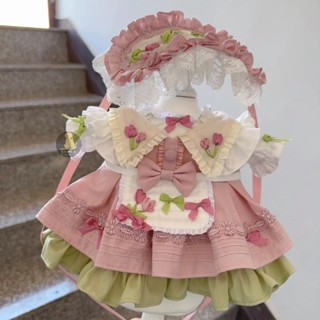 🎉寵愛到家 狗狗公主裙 春夏薄款 貓咪甜心裙子 兔兔蓬蓬洛麗塔 小型犬泰迪寵物衣服 L