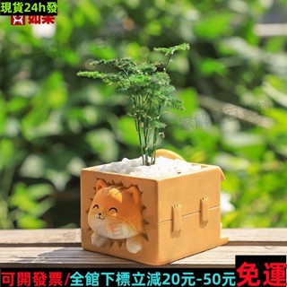 免運🔥帶開票🔥❣小花盆❣ 髮財貓 小貓咪花盆 筆筒 室內花器 微景觀植物裝飾 盆栽盆器 陽臺花盆1302743