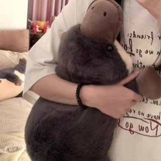 鴨嘴獸公仔模擬安撫毛絨玩具玩偶可愛兒童生日禮物女女孩抱枕娃娃
