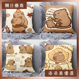 卡皮巴拉 水豚抱枕 卡通二次元 可愛抱枕 沙發臥室宿舍 靠枕 生日禮物