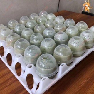 今日推薦%實蛋蛋託塑膠蒸蛋器耐高溫新款商用家用蛋殼蛋託蒸蛋模具雞蛋模子