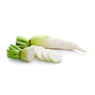 【CoCo園藝】日本大根種子Daikon~從泥土到餐桌，在家也能品味拔蘿蔔的樂趣