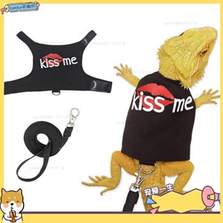 🐶寵物館🐶Fk-lizard 爬行動物皮帶線束套裝可調節小動物線束帶牽引繩適用於鬍鬚龍變色龍戶外散步qwe