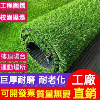 特密超模擬草坪 人工家用假草坪戶外草地 假草皮 人造草皮 屋頂防曬 婚禮佈置 寵物墊 草皮地墊 草皮地毯