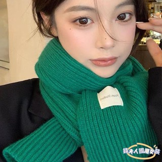 【錢夫人】秋冬加絨圍巾 針織保暖圍巾圍脖馬爾斯綠/克萊因藍 韓版秋冬新款純色毛線圍巾流行百搭顯白圍脖女