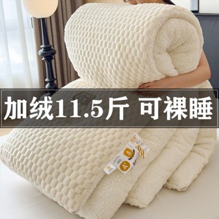 現+免運🚚 單人/雙人 棉被 冬被 被子 被胎 內胎被 厚棉被 暖被 暖暖被 新款羊羔絨被子棉被保暖加厚牛奶絨冬天單人