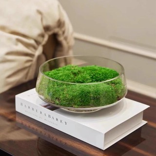 ZERO 居家生活透明大口玻璃花盆永生花苔蘚diy微景觀擺件輕奢桌面茶幾臺面裝飾#預購#開超取請聊聊我