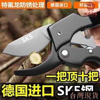 臺灣熱賣德國進口鋼粗枝剪刀滑輪省力修枝剪園藝修花木果樹嫁接園林剪工具強力園藝剪刀高枝剪堅固花藝剪樹枝剪芽切剪修枝剪
