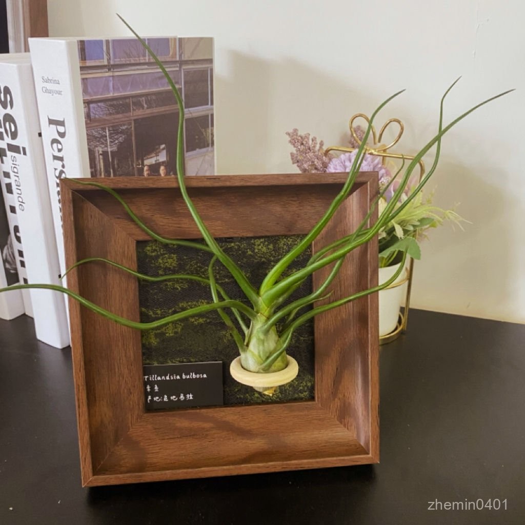 空氣鳳梨相框ins裝飾畫辦公室軟裝植物綠植擺件客廳臥室桌麵小眾