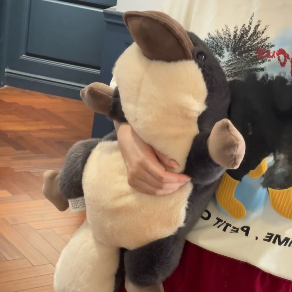 鴨嘴獸公仔 大嘴鴨玩偶 毛絨玩偶 仿真安撫毛絨玩具玩偶可愛超軟抱枕靠墊生日禮物女