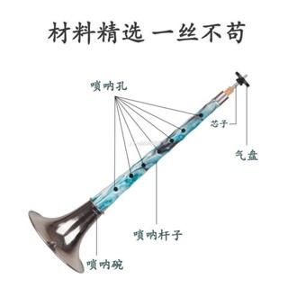 **音樂** 樂器 管樂器 嗩吶一吹 嗩吶 初學者 新手嗩吶 樂器 嗩吶新材料樹脂中國風炫彩仿木紋12.21