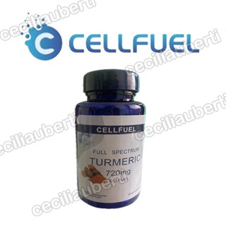 買2送1🎁美國原裝進口 薑黃素 CELLFUEL 薑黃 100顆 720mg Turmeric臺灣寄出