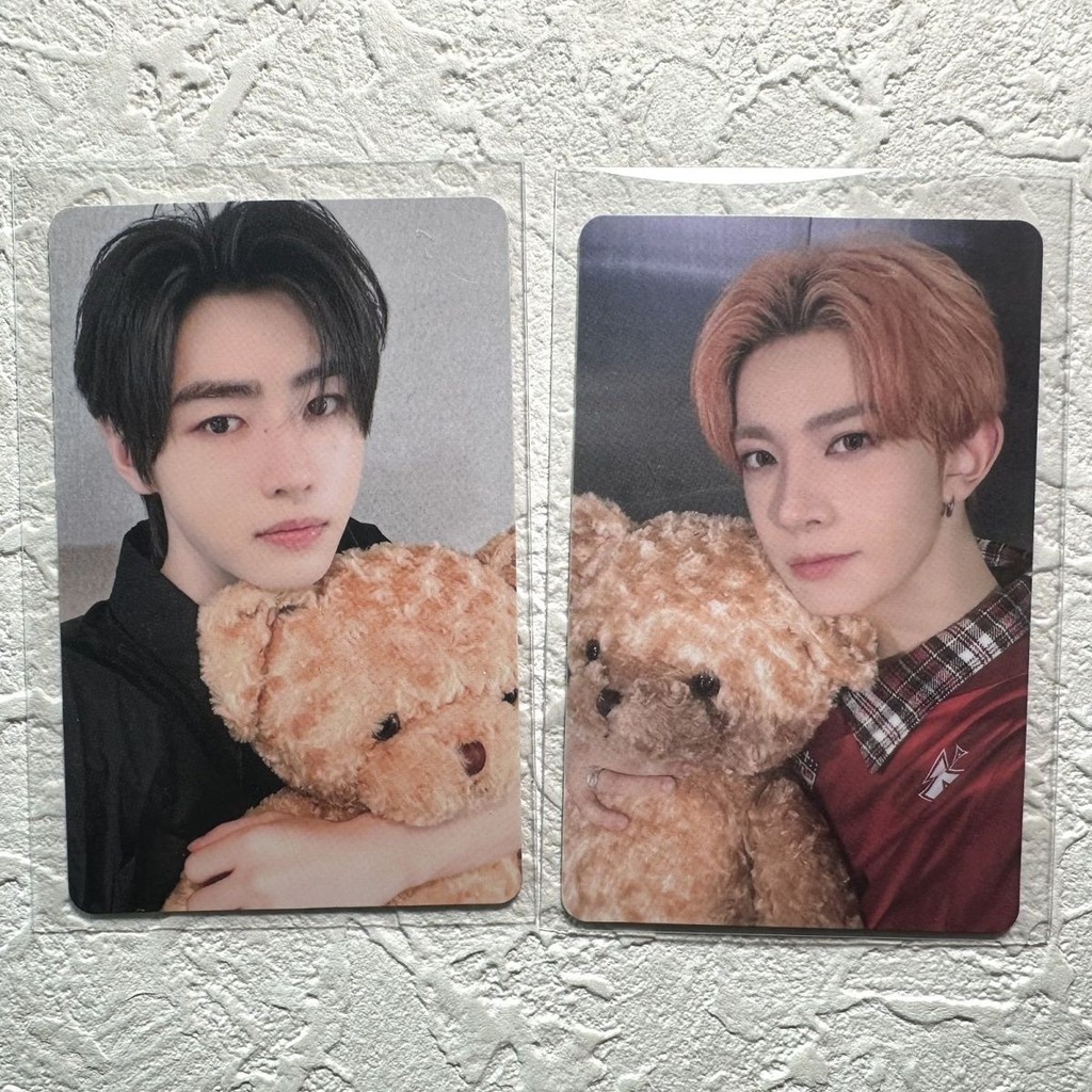 ⭐正版小卡⭐ENHYPEN符 yzy抱熊特典卡 一直娛正規二XO 樸成訓SUNGHOON滑 李羲承‌HEESEUNG姐