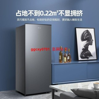 （電壓220V訂金價格，聊聊諮詢）北極熊冷櫃立式冰箱家用全冷凍冰櫃單門側開門帶抽屜抽拉式冷凍櫃