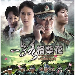 【精品優選百貨】電視劇/一路格桑花.20集全/16480P TF內存卡