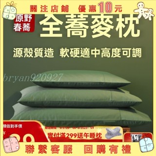 枕頭 飯店枕 羽絲絨枕 防蟎抗菌枕 枕頭 枕心 日本大和認證 冰絲枕 嚴選好眠商品 蕎麥枕