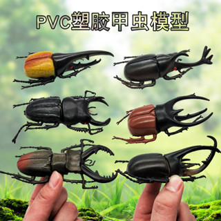 模擬昆蟲教具🎀模擬昆蟲模型大號甲蟲標本玩具獨角仙大兜蟲早教認知動物兒童禮物 模擬昆蟲模型 模擬模型