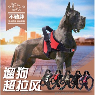 ⭐臺灣發貨免運⭐胸背帶 寵物用品中大型犬狗狗項圈 牽引繩寵物胸背帶/熱賣