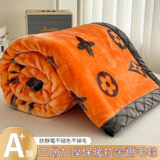 臺灣出貨 加厚法蘭絨毯 拉舍爾毛毯 加厚保暖毛毯 毯子 法蘭絨被 雙人毛毯 單人毛毯 法蘭絨毛毯 高階感毛毯 蓋毯 蓋被