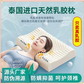 臺灣公司貨🔥頭枕 乳膠枕 枕頭 護頸枕 護頸頭枕 頸椎枕 記憶枕 助眠枕泰國天然乳膠枕頭進口頸椎枕成人家用記憶枕頭芯兒