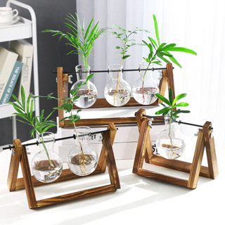 【創意木架水培花瓶】綠蘿玻璃容器辦公室內桌麵綠植現代擺件裝飾 HOBO