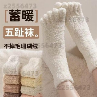 【桃園出貨】珊瑚絨五指襪冬季加厚保暖女特厚地闆襪子男居家寬鬆睡覺專用睡眠