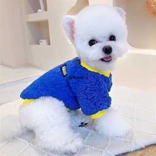 😸獨寵一身 糖果色寵物絨衣 羔羊絨保暖狗狗大學T 韓國ins狗狗絨衣 中小型犬 秋冬保暖寵物衣服 狗狗保暖衣 貓咪衣服