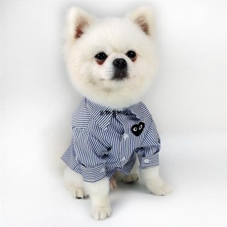 😸獨寵一身 寵物襯衫 狗狗襯衣 時尚狗狗衣服 韓國ins狗狗衣服 韓國狗狗襯衣 貓咪衣服 條紋寵物襯衫 禮服 保暖秋