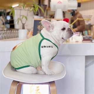 😸獨寵一身 可愛小狗貓咪小吊帶 泰迪博美小背心 清爽鱷梨可愛寵物衣服 夏季清涼寵物背心 超萌 ins 韓國 水果系列