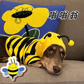 🔥全臺最低！ 貓咪衣服寵物衣服狗衣服狗雨衣臘腸犬蜜蜂裝寵物貓咪春秋款泰迪狗狗衣服小型犬搞怪搞笑連帽衛衣