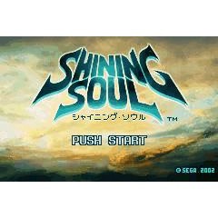 【主機遊戲 遊戲卡帶】GBM NDS NDSL GBA SP GBA遊戲卡帶 光明之魂 中文版客製卡帶咨詢客服