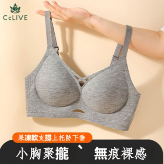 【臺灣發貨】秋冬新款內衣女小胸聚攏透氣無痕無鋼圈提拉文胸軟支撐放下錘胸罩小攏杯內衣女小胸聚攏軟支撐無痕透氣收副乳無鋼圈