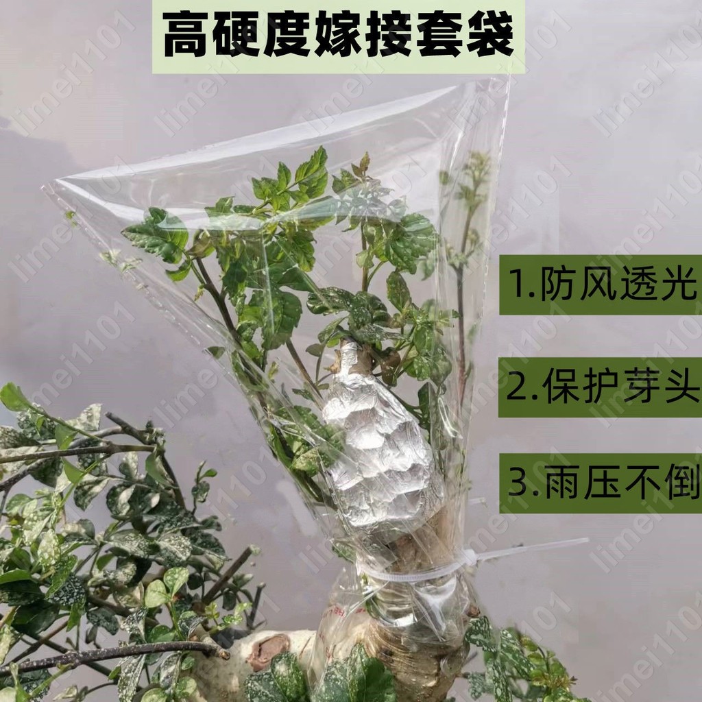✨依樂果樹盆景月季薔薇嫁接套袋加厚立體防風保溫膜嫁接彈子老鴉柿limei1101