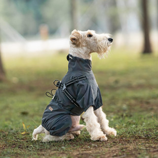 中小型犬✨ 四腳小狗 雨衣可牽引狗狗雨衣防水寵物衣服戶外反光