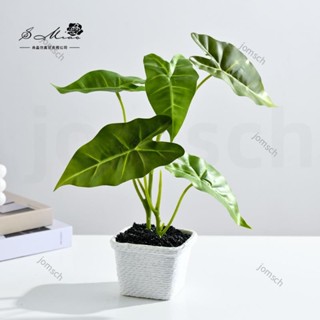 嘉義直發 模擬綠植 模擬綠植盆栽 海棠葉 芋葉 蘋果葉 人造植物 室內裝飾 假綠植盆栽 模擬綠植盆景 辦公室盆栽 假盆栽